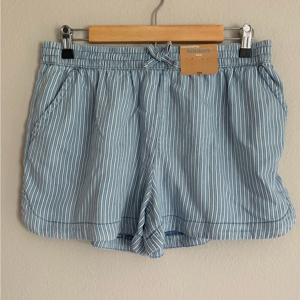 Kids Blue Striped Shorts